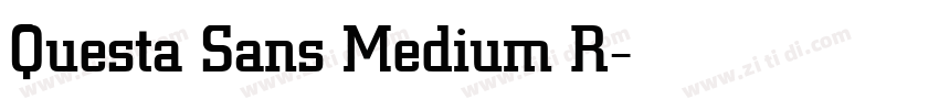 Questa Sans Medium R字体转换